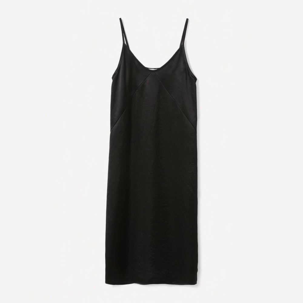 Everlane Party Slip Dress